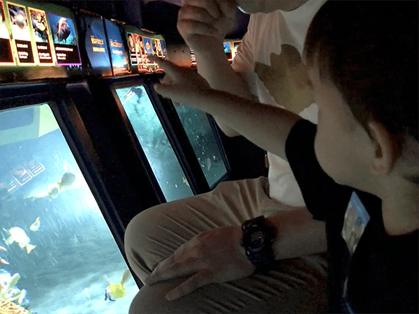 Screen Shot 2017-12-24 at 11.15.08 PM