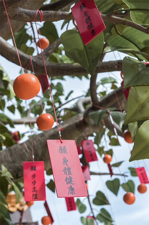 Screenshot 2019-01-29 at 11.07.37 PM