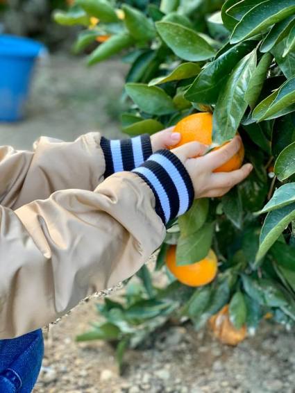 75158895_2425501504165569_6791998283314102272_n