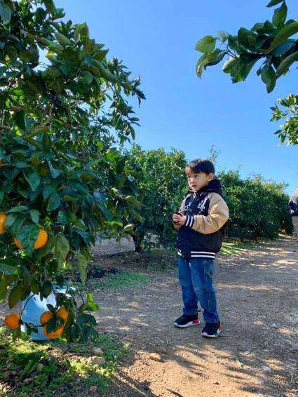 78275301_2425501600832226_4740376355445669888_n